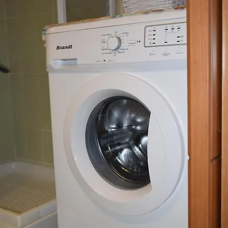 Astrantia (adults Only)