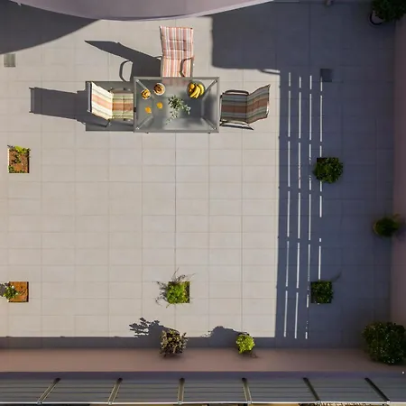 Astrantia (adults Only) *