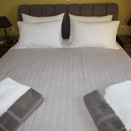 Astrantia (adults Only)