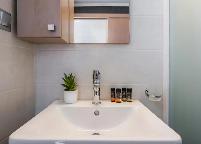 Astrantia (adults Only) *