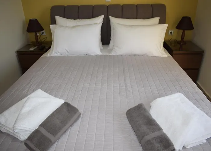 Astrantia (adults Only)